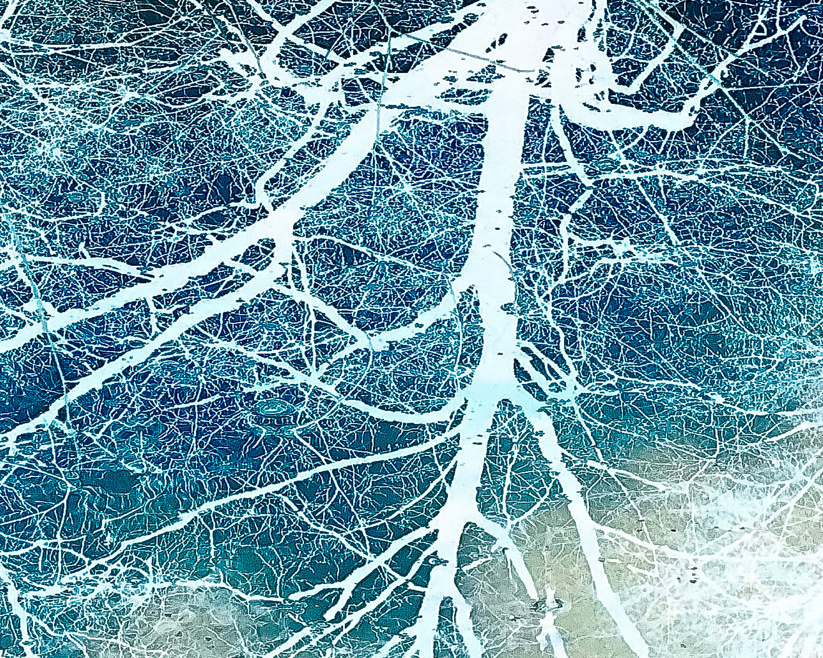 emergent technologies